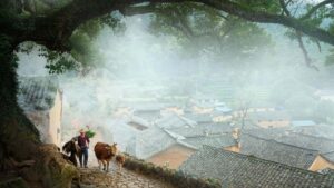 教你在中國用淘寶接觸斯里蘭卡品牌、蒐集背書素材，提升媒體包可信度與商業洽談成功率。